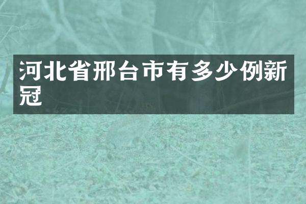 河北省邢台市有多少例新冠