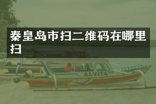 秦皇岛市扫二维码在哪里扫