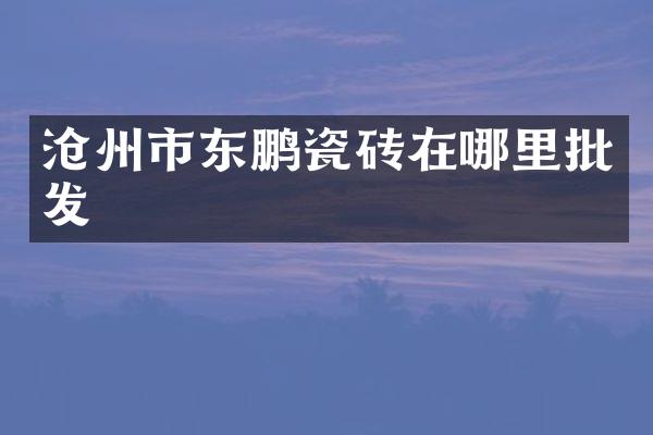 沧州市东鹏瓷砖在哪里批发