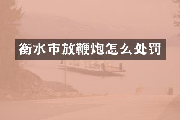 衡水市放怎么处罚