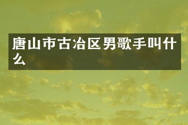 唐山市古冶区男歌手叫什么