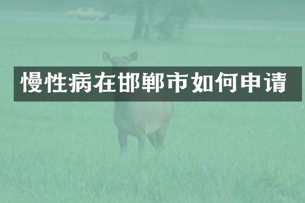 慢性病在邯郸市如何申请