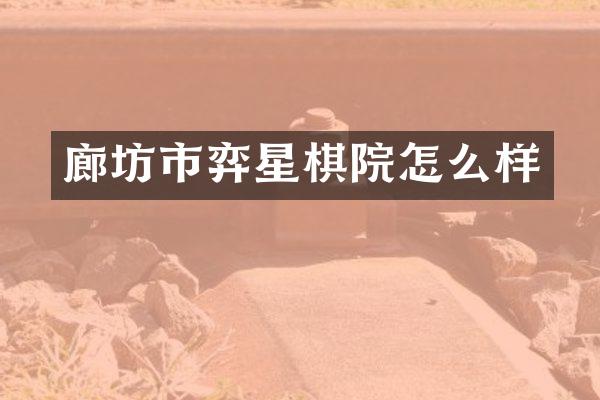 廊坊市弈星棋院怎么样