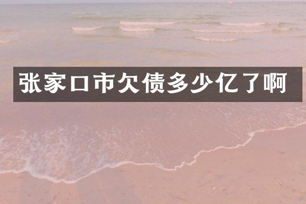张家口市欠债多少亿了啊