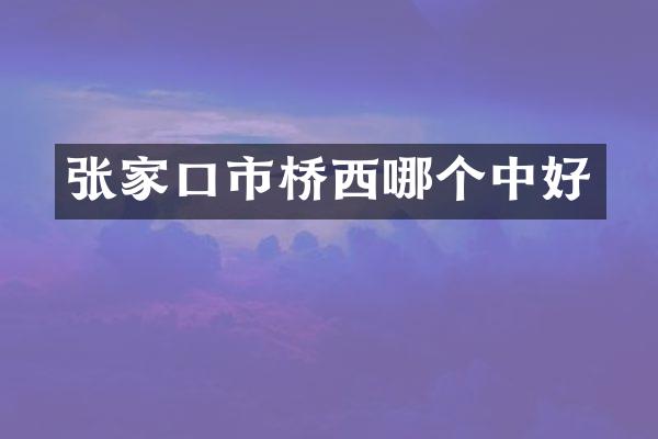 张家口市桥西哪个中好