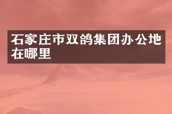石家庄市双鸽集团办公地在哪里