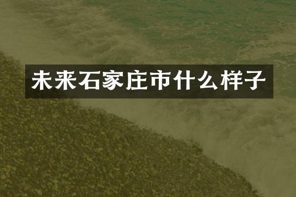 未来石家庄市什么样子