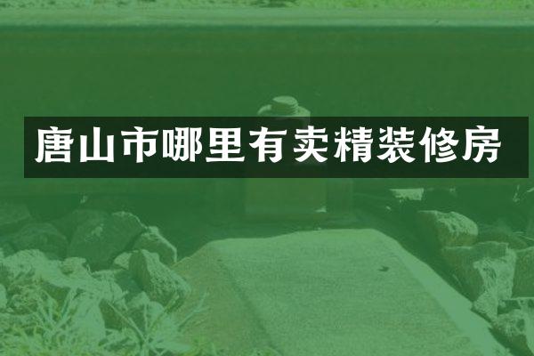 唐山市哪里有卖精装修房