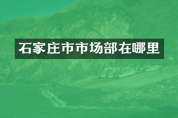 石家庄市市场部在哪里