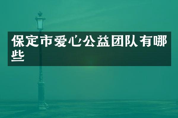 保定市爱心公益团队有哪些