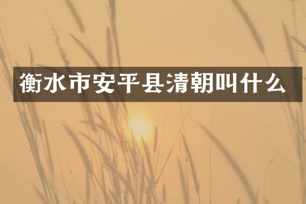 衡水市安平县清朝叫什么