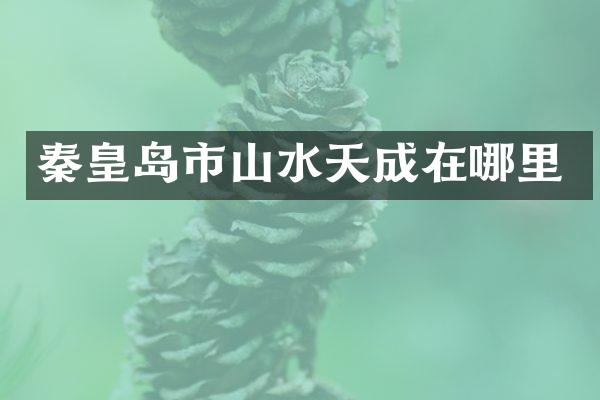 秦皇岛市山水天成在哪里