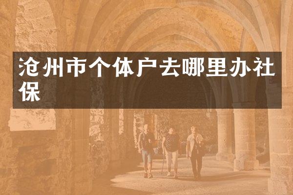 沧州市个体户去哪里办社保