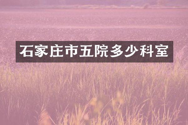 石家庄市五院多少科室