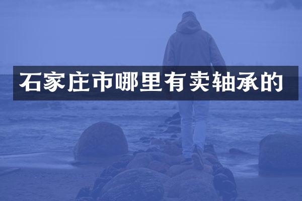 石家庄市哪里有卖轴承的