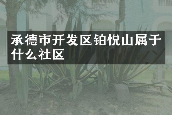 承德市开发区铂悦山属于什么社区