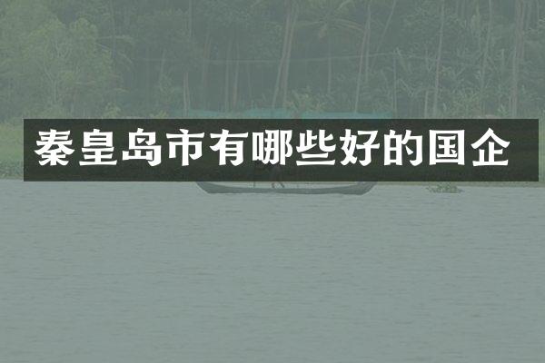 秦皇岛市有哪些好的国企