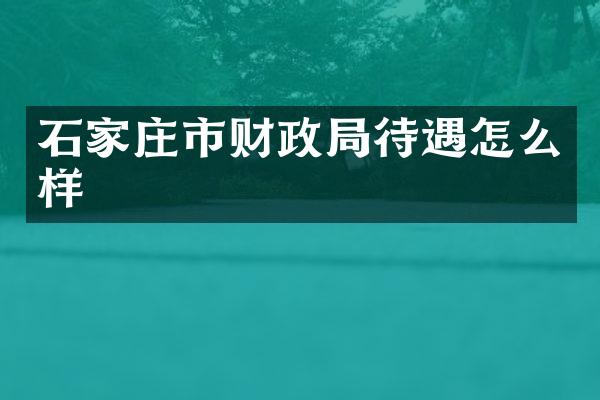 石家庄市财政局待遇怎么样