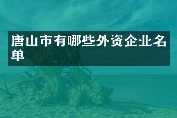 唐山市有哪些外资企业名单