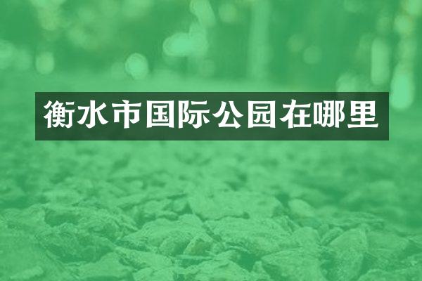 衡水市国际公园在哪里