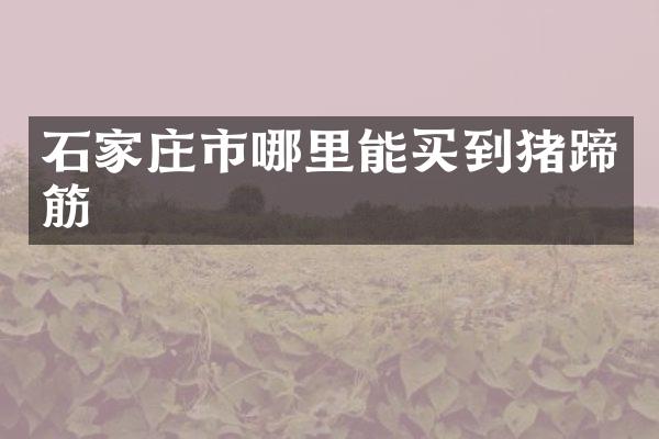 石家庄市猪蹄筋