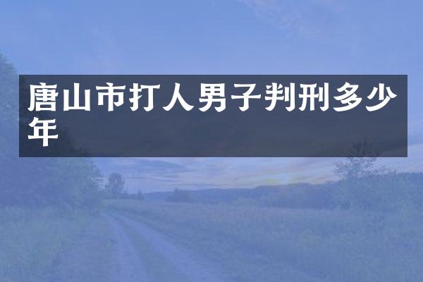唐山市打人男子判刑多少年