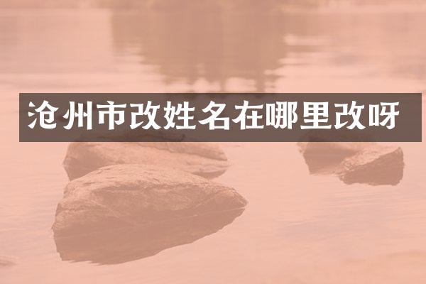 沧州市改姓名在哪里改呀