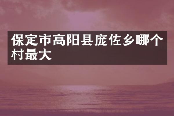 保定市高阳县庞佐乡哪个村最大