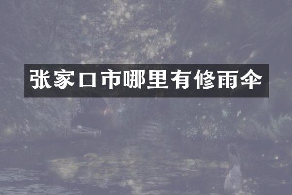 张家口市哪里有修雨伞