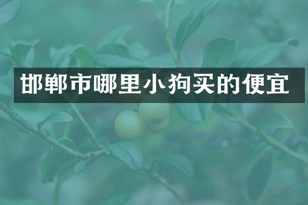 邯郸市哪里小狗买的便宜