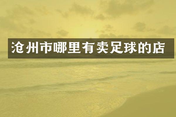 沧州市哪里有卖足球的店