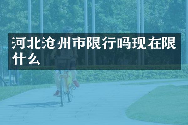 河北沧州市限行吗现在限什么