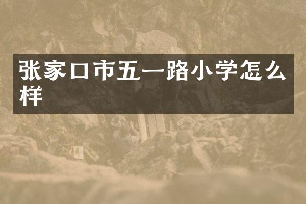 张家口市五一路小学怎么样