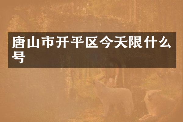 唐山市开平区今天限什么号