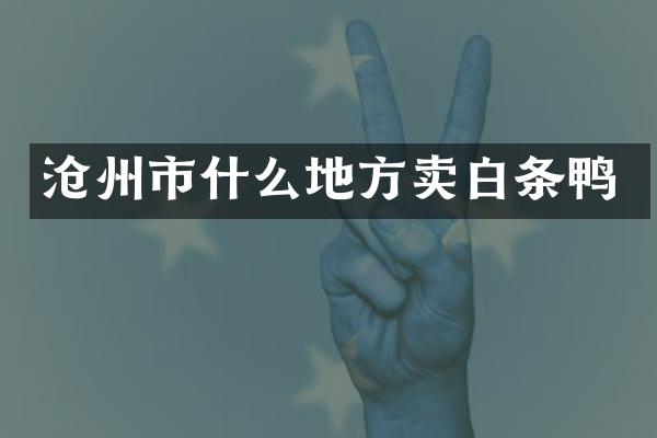 沧州市什么地方卖白条鸭