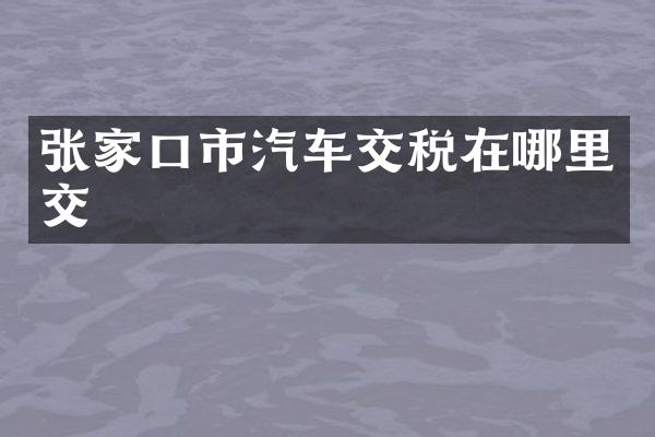 张家口市汽车交税在哪里交