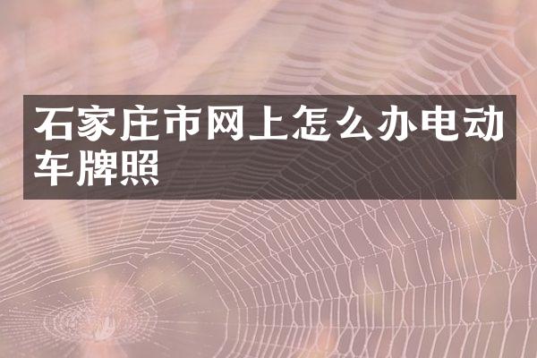 石家庄市网上怎么办电动车牌照