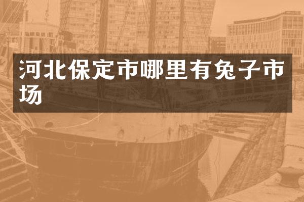 河北保定市哪里有兔子市场