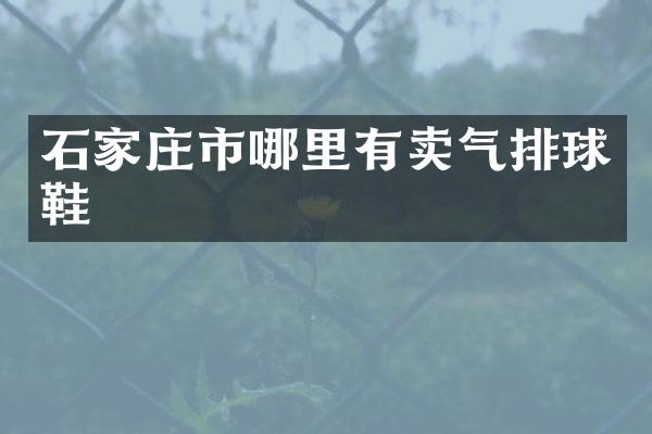 石家庄市哪里有卖气排球鞋