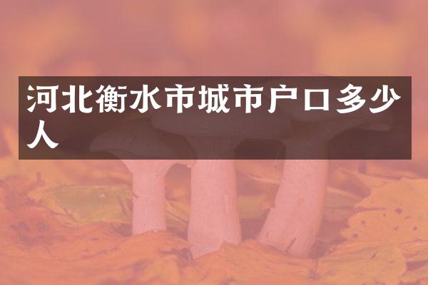 河北衡水市城市户口多少人