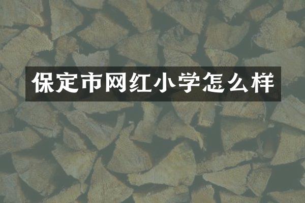 保定市网红小学怎么样