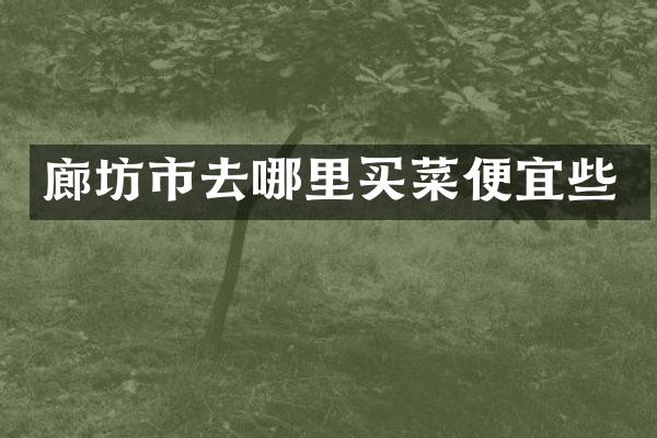 廊坊市去哪里买菜便宜些