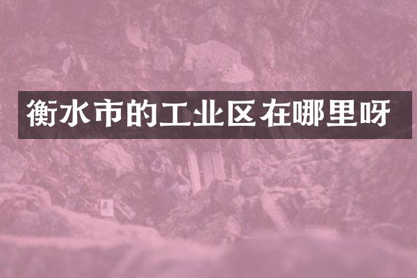 衡水市的工业区在哪里呀
