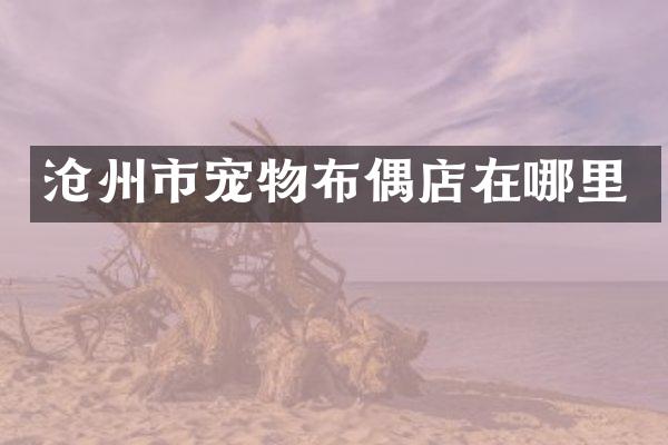 沧州市宠物布偶店在哪里