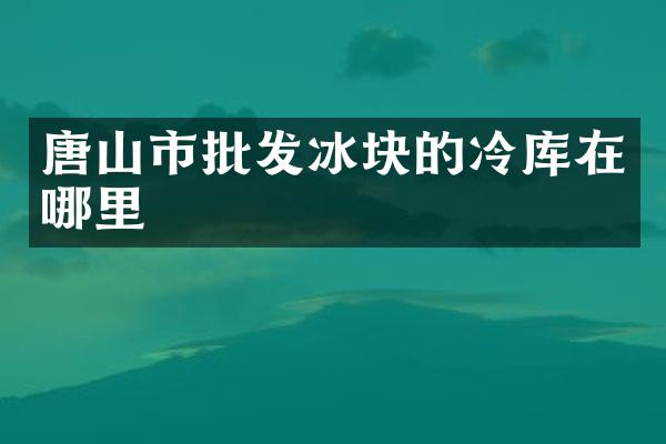 唐山市批发冰块的冷库在哪里