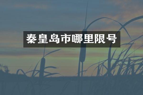 秦皇岛市哪里限号