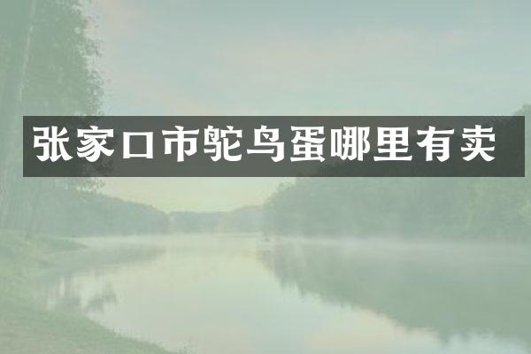 张家口市鸵鸟蛋哪里有卖
