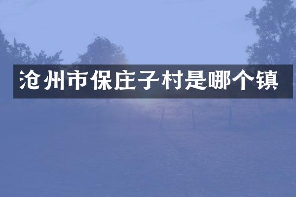 沧州市保庄子村是哪个镇