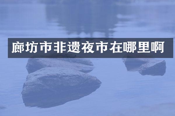廊坊市非遗夜市在哪里啊