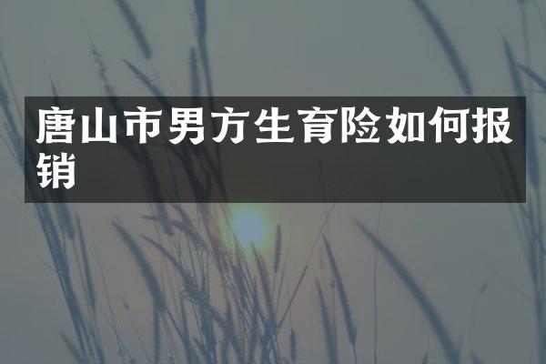 唐山市男方生育险如何报销
